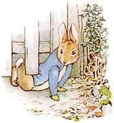 Peter Rabbit